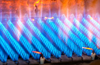 Hoff gas fired boilers